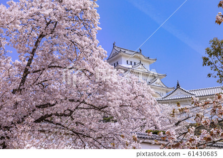 Himeji Castle 61430685