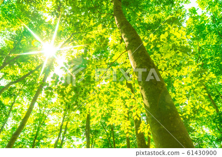 Fresh green and eco image 61430900