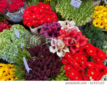 Flower Market in Amsterdam, Netherlands Flower Market in Amsterdam, Netherlands 61431107