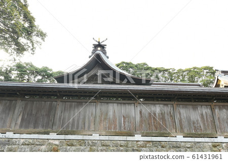 Sake line Isozaki Shrine 61431961