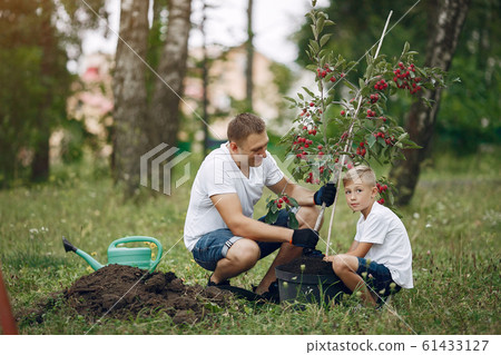 Father with little son are planting a tree on a yard 61433127