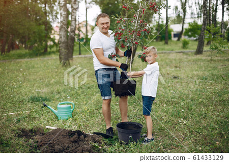 Father with little son are planting a tree on a yard 61433129
