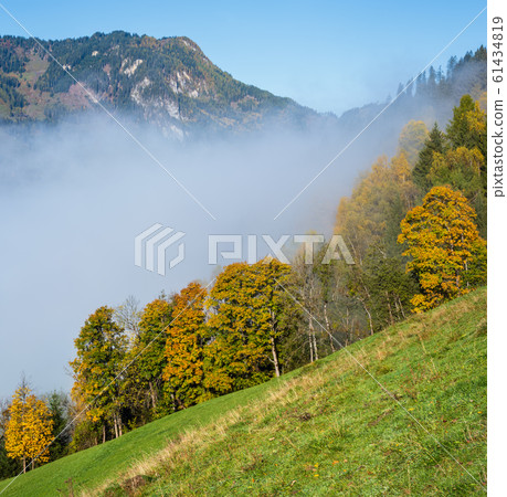 Peaceful misty autumn morning mountain view from Peaceful misty autumn morning mountain view from 61434819