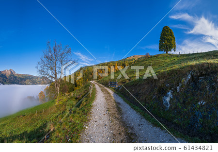 Peaceful misty autumn morning mountain view from Peaceful misty autumn morning mountain view from 61434821