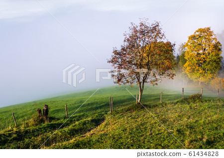Peaceful misty autumn morning mountain view from Peaceful misty autumn morning mountain view from 61434828