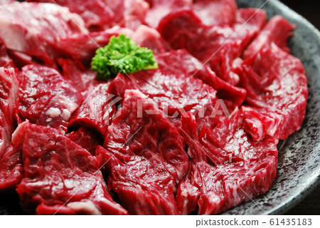 Beef squirrel 61435183