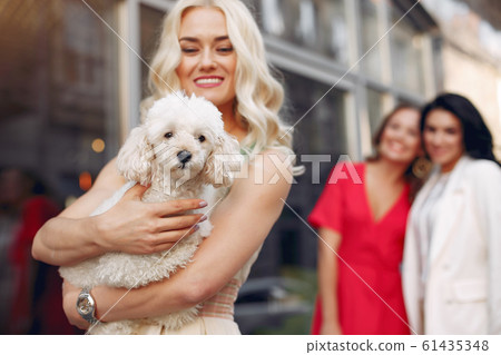 Three elegant women with little dog in a city Three elegant women with little dog in a city 61435348