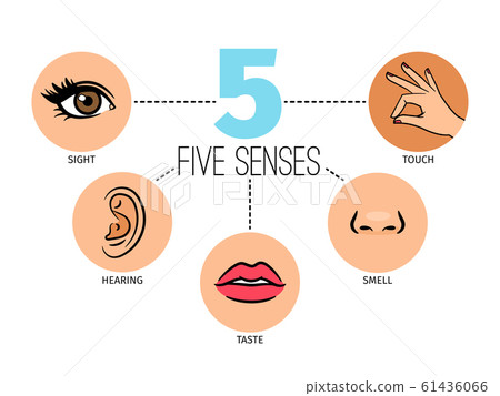 Five human feelings. Mouth or lips, hand and nose, eye and ear icons, sight and smell, touch, hearing and taste senses 61436066