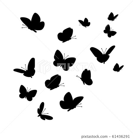 Flying butterflies silhouettes Flying butterflies silhouettes 61436291