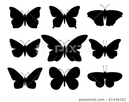 Butterflies black silhouettes Butterflies black silhouettes 61436292