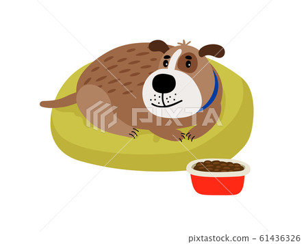 Pet dog cartoon icon Pet dog cartoon icon 61436326
