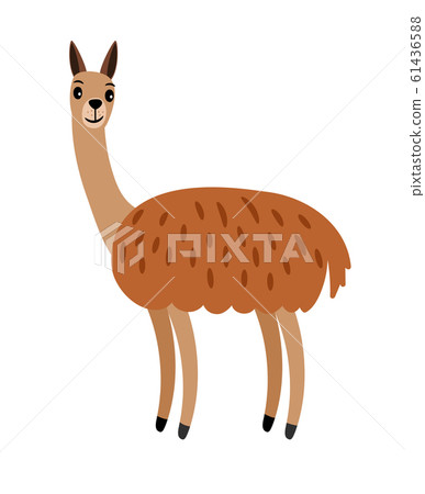 Vicuna cute cartoon animal Vicuna cute cartoon animal 61436588
