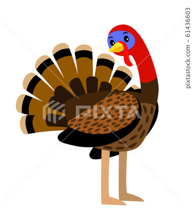 Turkey. Vector thanksgiving traditional turkey bird animal closeup illustration Turkey. Vector thanksgiving traditional turkey bird animal closeup illustration 61436603
