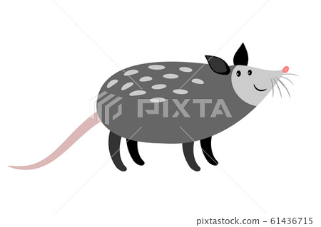 Opossum cute cartoon animal icon Opossum cute cartoon animal icon 61436715