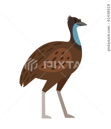 Emu Cartoon Bird Icon Stock Illustration 61436919 Pixta