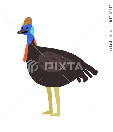 Cassowary cute cartoon bird 61437114