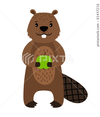 Beaver. Vector cartoon beaver character isolated Beaver. Vector cartoon beaver character isolated 61437218