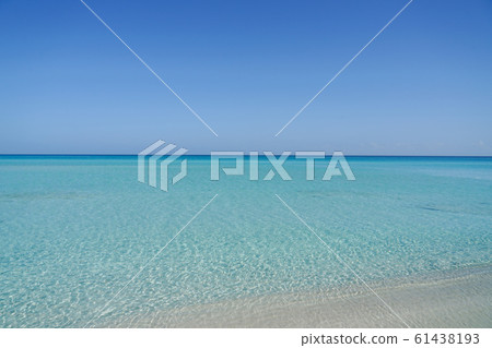 Beach of Varadero Beach of Varadero 61438193