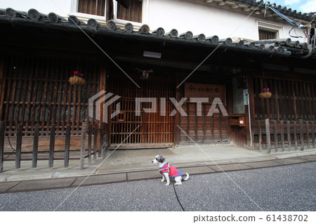 五條 五條 61438702