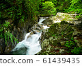 Nishizawa Valley (Summer) Nishizawa Valley (Summer) 61439435