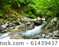 Nishizawa Valley (Summer) Nishizawa Valley (Summer) 61439437