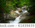 Nishizawa Valley (Summer) Nishizawa Valley (Summer) 61439439