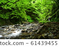 Nishizawa Valley (Summer) Nishizawa Valley (Summer) 61439455