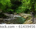 Nishizawa Valley (Summer) Nishizawa Valley (Summer) 61439456