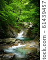 Nishizawa Valley (Summer) Nishizawa Valley (Summer) 61439457