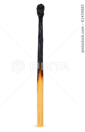wooden burned and extinct match vector 61439885