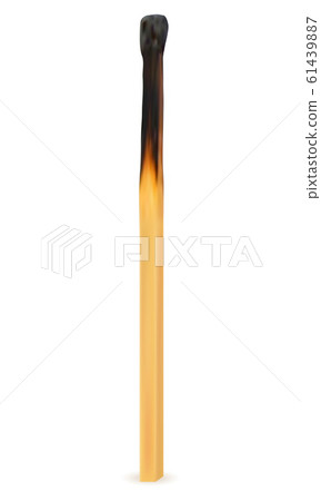 wooden burned and extinct match vector 61439887