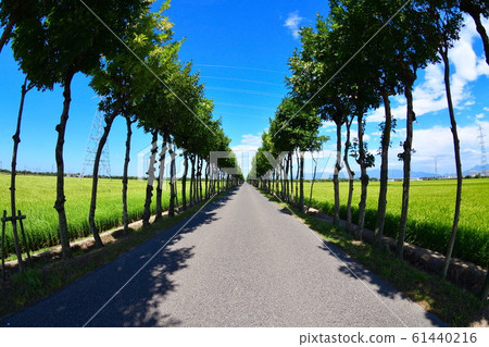 Momentsu is Saki Namiki (Niigata Prefecture) Momentsu is Saki Namiki (Niigata Prefecture) 61440216