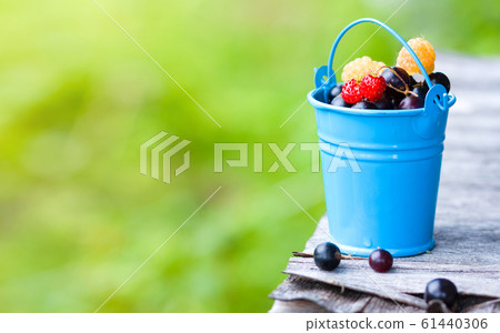 Red and yellow raspberries and blackcurrant  61440306