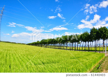 Rural scene of Manganji Temple (Niigata Prefecture) Rural scene of Manganji Temple (Niigata Prefecture) 61440403
