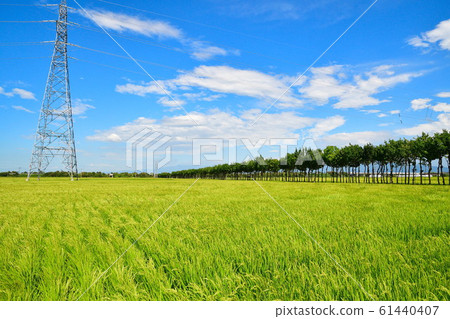 Rural scene of Manganji Temple (Niigata Prefecture) 61440407