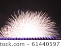 Fireworks Star 61440597