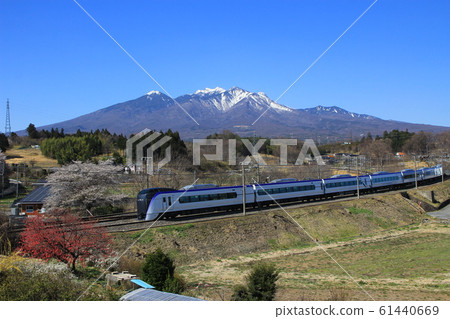 春天在八嶽山腳下的特快梓 春天在八嶽山腳下的特快梓 61440669