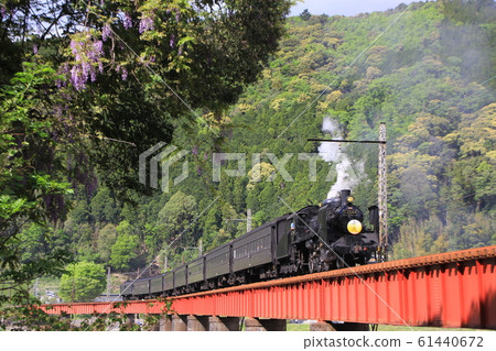 紫藤花和蒸汽機車 紫藤花和蒸汽機車 61440672