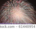 Bursts of Fireworks 61440954