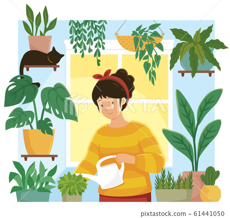 Home garden. Young woman watering plants in flower pots indoors. Home garden. Young woman watering plants in flower pots indoors. 61441050
