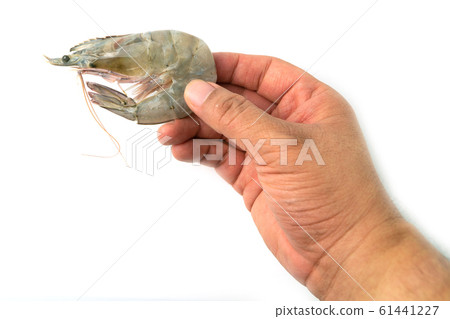 The hands of men are holding fresh raw pacific The hands of men are holding fresh raw pacific 61441227