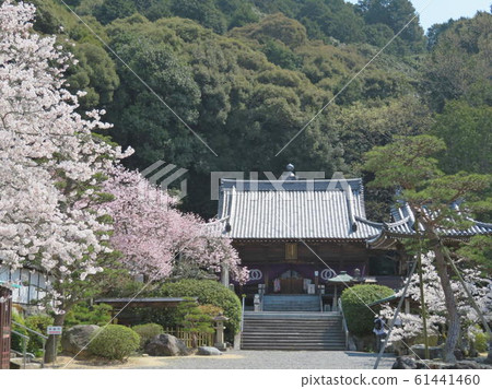 Shigeji Temple (Shikoku 88 locations No. 50) Shigeji Temple (Shikoku 88 locations No. 50) 61441460