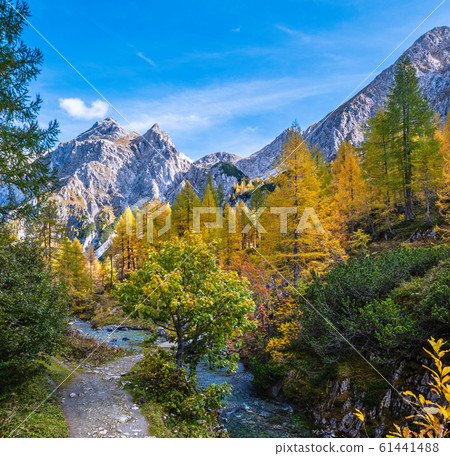 Autumn alpine stream view from mountain hiking Autumn alpine stream view from mountain hiking 61441488