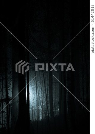 Tree branches at foggy night lit by streetlamp 61442012