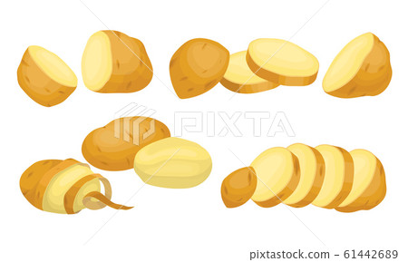 Raw Whole and Sliced Potatoes Close up Isolated on White Background Vector Set. 61442689