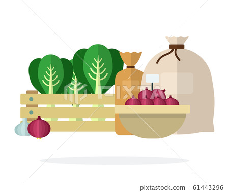 Cabbage in a box, onions in a basket and tied linen sacks flat isolated Cabbage in a box, onions in a basket and tied linen sacks flat isolated 61443296