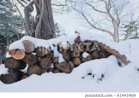 Firewood with snow Firewood with snow 61443409