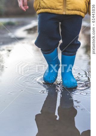 pool of water, puddle, water surface 61443836