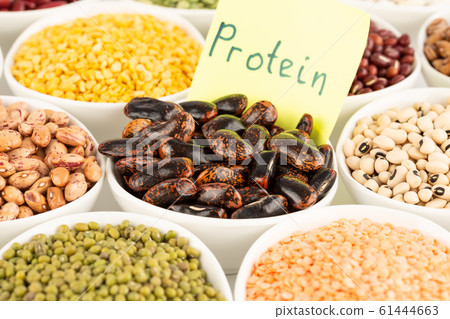 Collection of beans Collection of beans 61444663