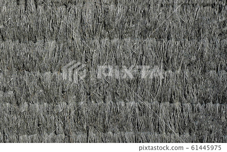 The wall of the old house is fortified with dry grass of gray color .Texture or background. The wall of the old house is fortified with dry grass of gray color .Texture or background. 61445975